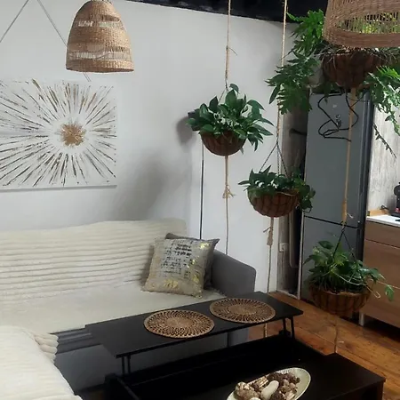 Charming Colonial House La Laguna (Tenerife)